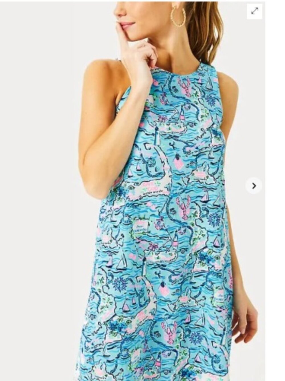 Lilly Pulitzer Kristen Swing Dress, Lilly Loves Cape Cod Bali Blue | Size XS - Picture 4 of 8